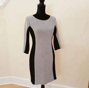 Banana Republic Ponte Knit Dress